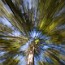 thumbs/IMG_4167 2.jpg